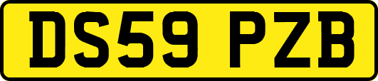 DS59PZB