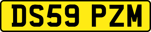 DS59PZM