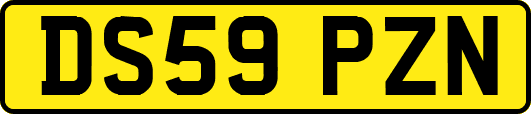 DS59PZN