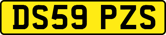 DS59PZS