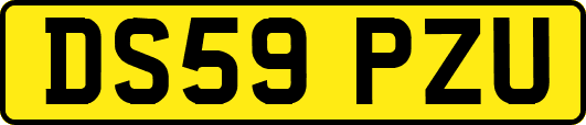 DS59PZU