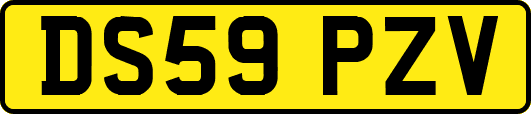 DS59PZV