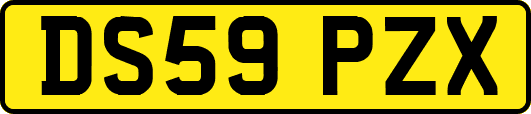 DS59PZX