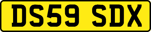 DS59SDX