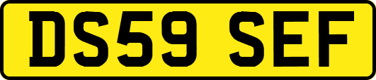 DS59SEF