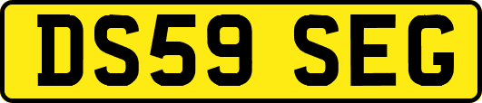 DS59SEG