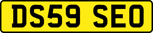 DS59SEO