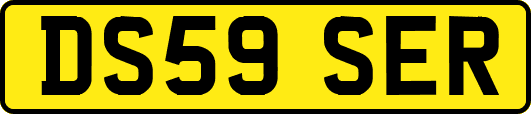 DS59SER