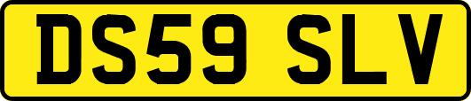 DS59SLV