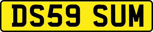 DS59SUM