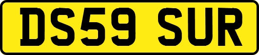 DS59SUR