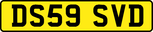 DS59SVD