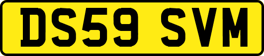 DS59SVM