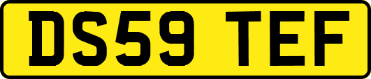 DS59TEF