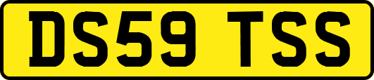 DS59TSS