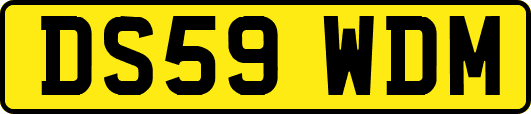 DS59WDM