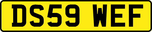 DS59WEF
