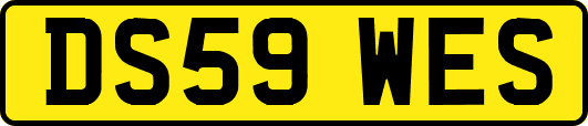 DS59WES