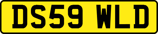 DS59WLD