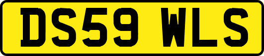 DS59WLS