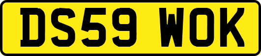 DS59WOK