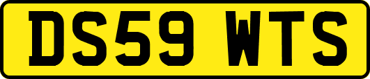 DS59WTS