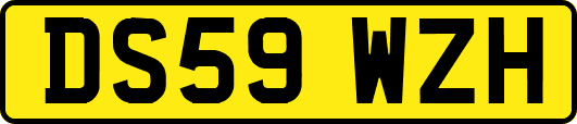 DS59WZH