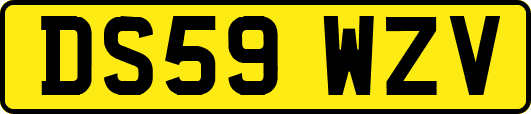 DS59WZV