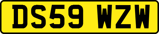 DS59WZW