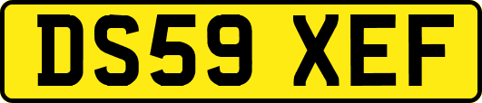 DS59XEF