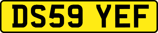 DS59YEF
