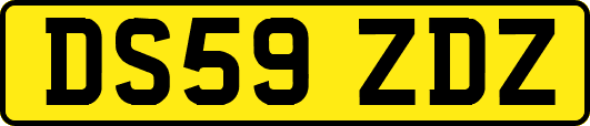 DS59ZDZ