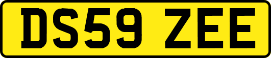 DS59ZEE