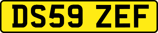 DS59ZEF