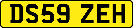 DS59ZEH
