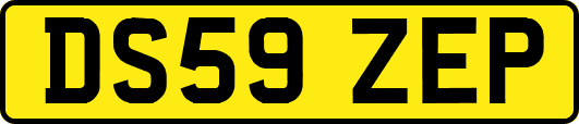 DS59ZEP