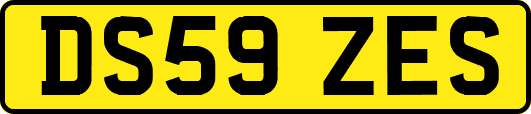 DS59ZES