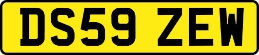 DS59ZEW