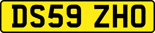 DS59ZHO