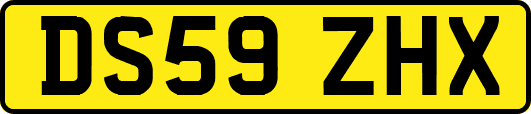 DS59ZHX
