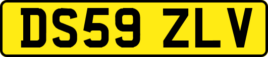 DS59ZLV