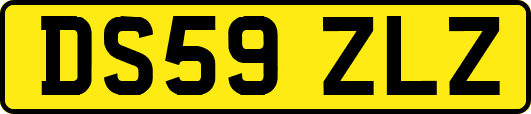 DS59ZLZ