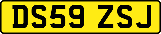 DS59ZSJ