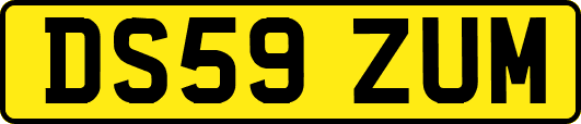 DS59ZUM