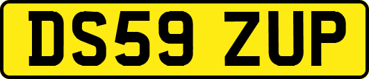 DS59ZUP