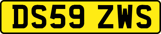 DS59ZWS