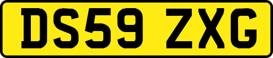 DS59ZXG