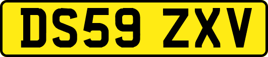 DS59ZXV