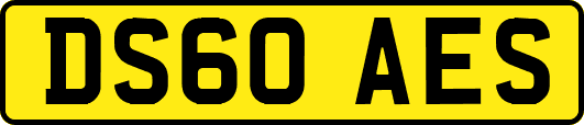 DS60AES
