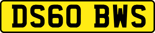 DS60BWS